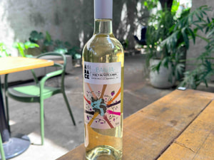 Audace - Sauvignon Gris